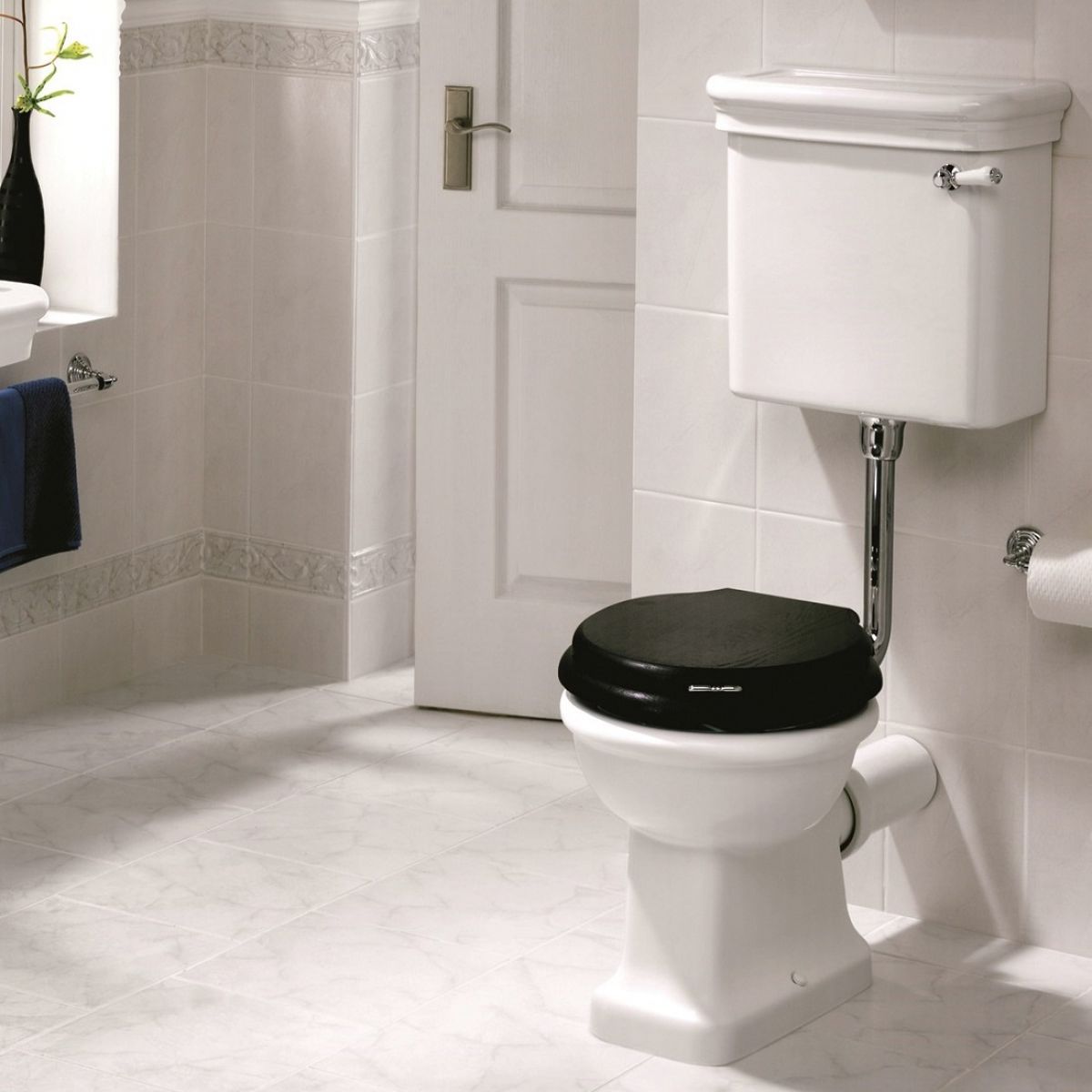 image example of a low level toilet