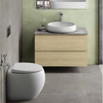 RAK Cloud Back to Wall Toilet Pan with Seat