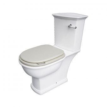 RAK Washington Replacement Soft Close Toilet Seat in Greige - RAKWTNSEAT505