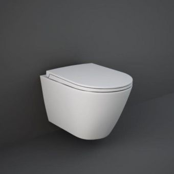 RAK Feeling Replacement Soft Close Toilet Seat in White - FEESEAT500