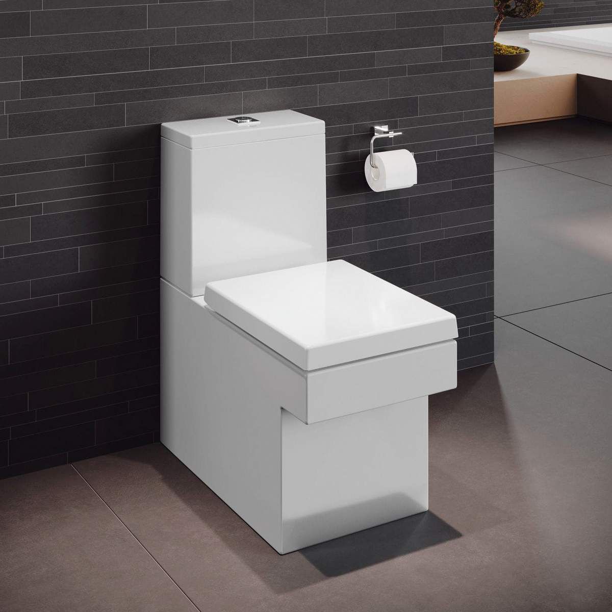 image example of a close coupled toilet