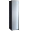 VitrA Frame Tall Mirror Cupboard