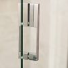 Roman Showers Liberty Hinged Door with One In-Line Panel