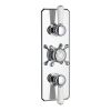 Swadling Invincible Double Outlet Thermostatic Shower Mixer - 7200CP
