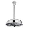 Swadling Invincible Deluge Shower Head with Ceiling Arm