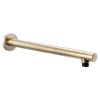 Abode Kite Wall Mounted Circular Shower Arm in Antique Brass - AB2729
