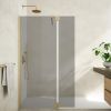 Tissino Armano 8mm Grey Fixed Glass Panel in Brushed Brass