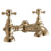 Harrogate Bath Filler in Brushed Brass