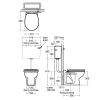 Armitage Shanks Contour 21 Schools 305 Back To Wall Toilet/Close Coupled Toilet - S304601