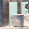 Geberit Monolith For Floor Standing Toilets - 131002SI5