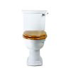 Imperial Westminster Close Coupled Toilet - WM1WC01030