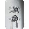 Imperial Quadrata Cambridge Concealed Thermostatic Shower Valve with Radcliffe Handle