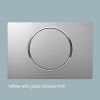 Geberit Sigma10 Single Flush Plate - 115758KH5