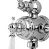 Perrin and Rowe Traditional Shower Set One
