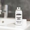 Origins Acrylic or Enamel Repair Spray Kit - 