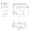 Bayswater Fitzroy Comfort Height Close Coupled Toilet with Ceramic Lever Flush - BAYC016